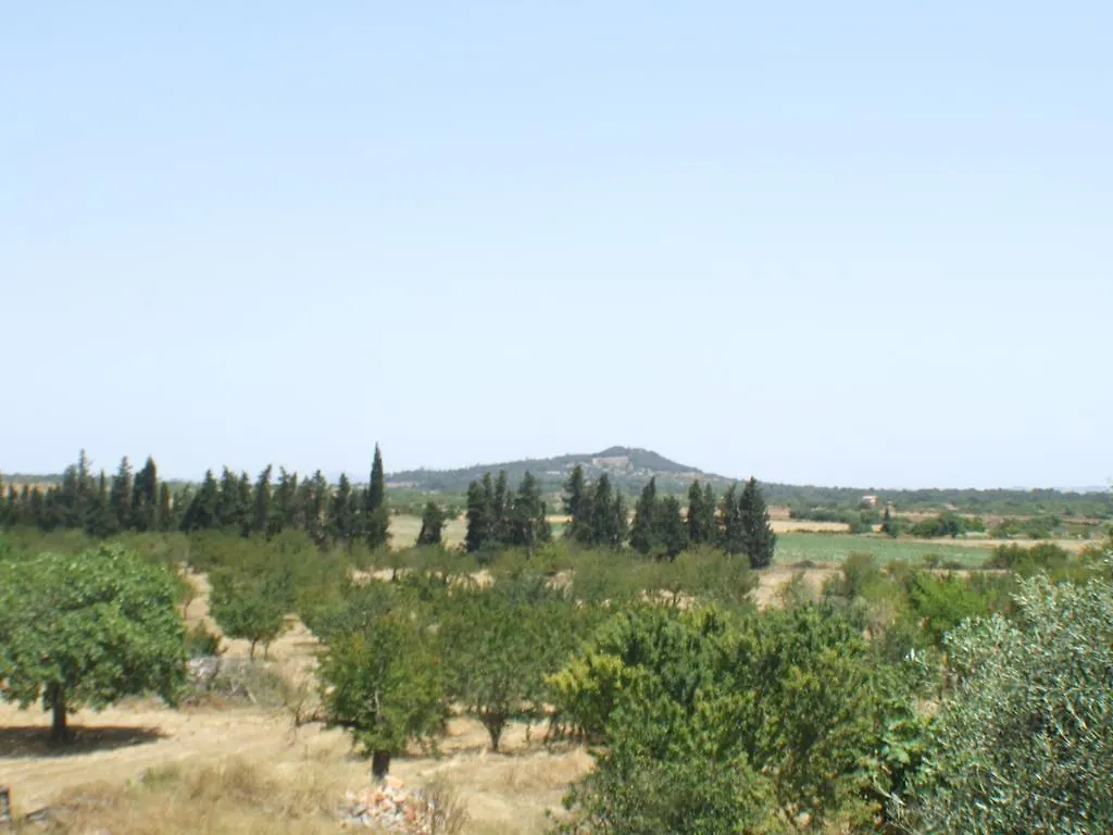 Es Lladoner Villa Porreres